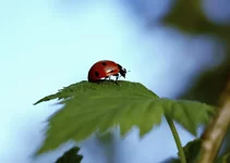 1_MG_7498.webp