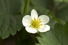 1_MG_7614.webp