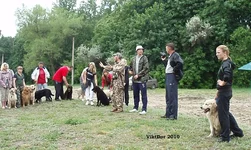  Изображение 020.webp