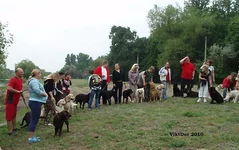  Изображение 023.webp