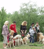  Изображение 030.webp