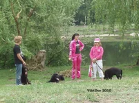  Изображение 033.webp