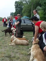  Изображение 041.webp