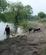  Изображение 055.webp