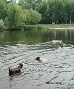  Изображение 066.webp