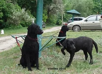  Изображение 086.webp