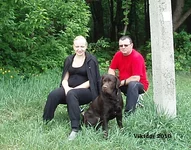  Изображение 089.webp