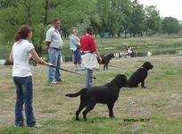  Изображение 101.webp