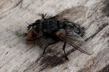 r-4148.webp
