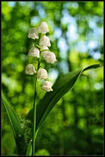 DSC32961.webp