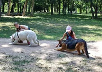 57ffae516504[1].webp