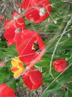 IMG_1315s.webp