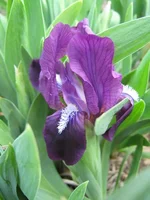 IMG_1314s.webp