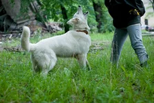 may2010_pss_web-4.webp