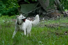 may2010_pss_web-9.webp