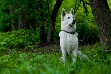 may2010_pss_web-19.webp
