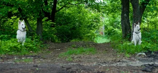 may2010_pss_web-22.webp
