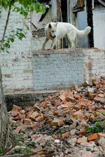 may2010_pss_web-35.webp