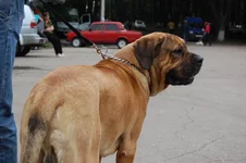 0003.webp