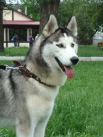 4445.webp