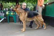 8881а.webp