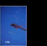 DSC_0416-4.gif