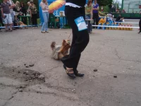 P5163325.webp