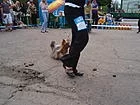 P5163325.webp