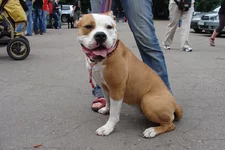 DSC02601.webp