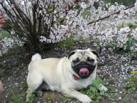 CIMG9741.webp