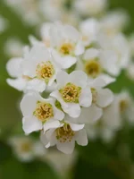 r-4628.webp