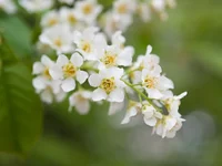 r-4636.webp