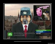 00kz9xtrlnig.webp