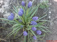 .webp