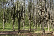 IMG_6967_resize.JPG