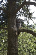 IMG_7063_resize.JPG