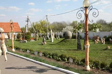 IMG_7154_resize.JPG
