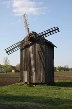 IMG_7305_resize.JPG