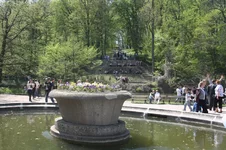 IMG_7351_resize.JPG