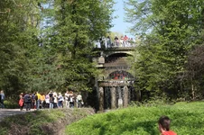 IMG_7373_resize.JPG