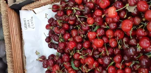20190508_160521.webp