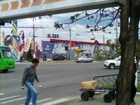 7.webp