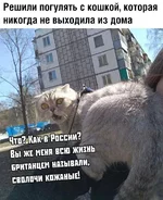 11686997_original.webp