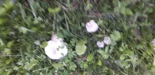 20190517_201929.webp