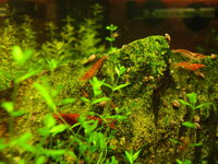P1210003.jpg