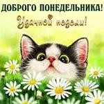  кися.webp
