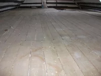 DSCF6169.webp