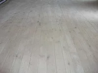DSCF6171.webp