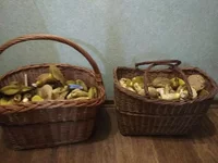 IMG_20190528_141302.webp