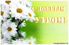 .webp